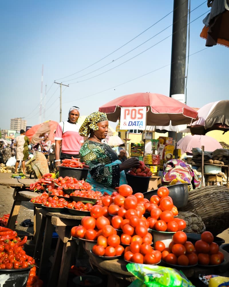 Vibrant marketplace scene representing Torra communities